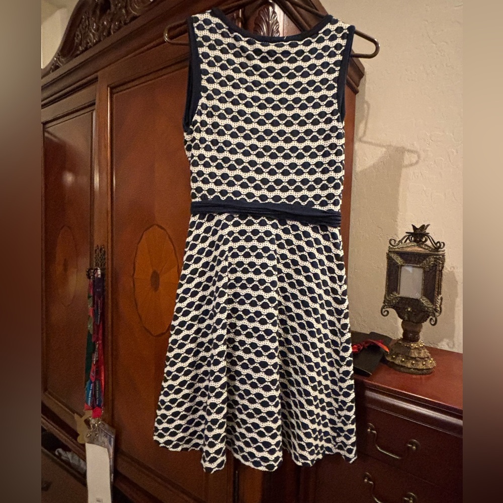 Max Studio Navy and White Sleeveless Fit-and-Flare Dress